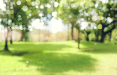 32式太极拳进步搬拦捶如封似闭 32式太极拳方向